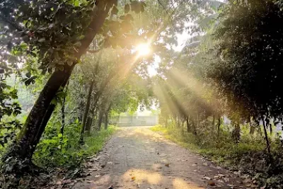 Random Day At Arunapalli